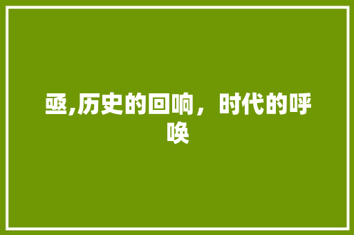 亟,历史的回响，时代的呼唤 报告写作