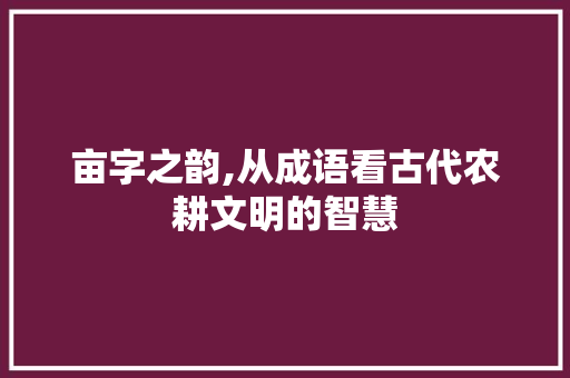 亩字之韵,从成语看古代农耕文明的智慧 简历模板