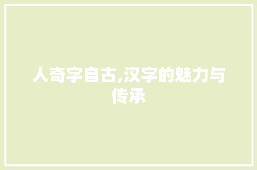 人奇字自古,汉字的魅力与传承