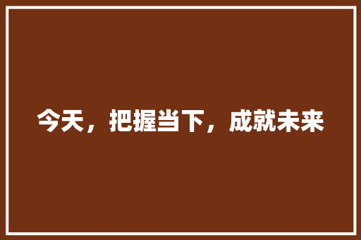 今天，把握当下，成就未来 简历模板