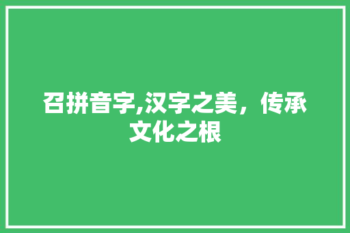 召拼音字,汉字之美，传承文化之根 范文赏析
