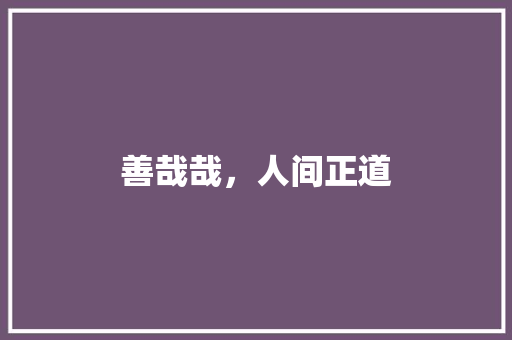 善哉哉，人间正道