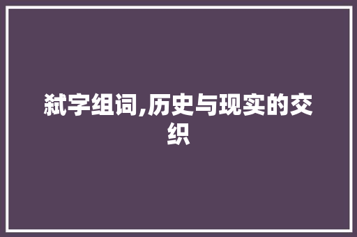 弑字组词,历史与现实的交织