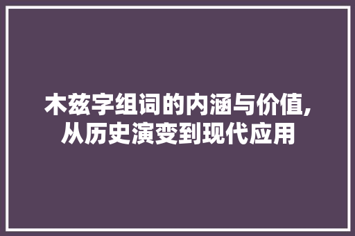 木兹字组词的内涵与价值,从历史演变到现代应用 写作技巧