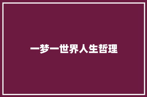 一梦一世界人生哲理 报告写作