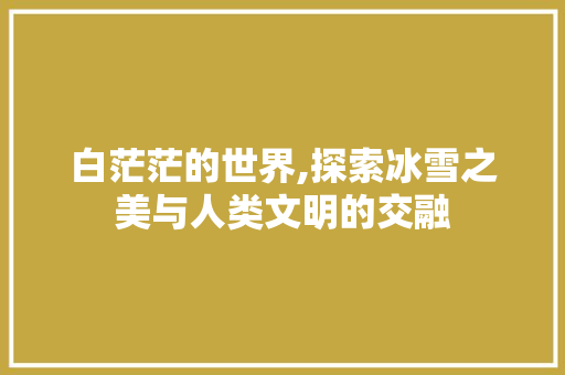 白茫茫的世界,探索冰雪之美与人类文明的交融
