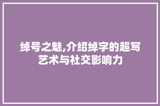 绰号之魅,介绍绰字的超写艺术与社交影响力