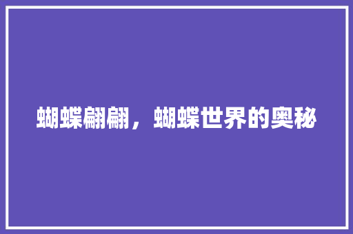 蝴蝶翩翩，蝴蝶世界的奥秘