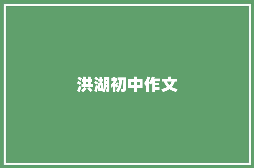 洪湖初中作文