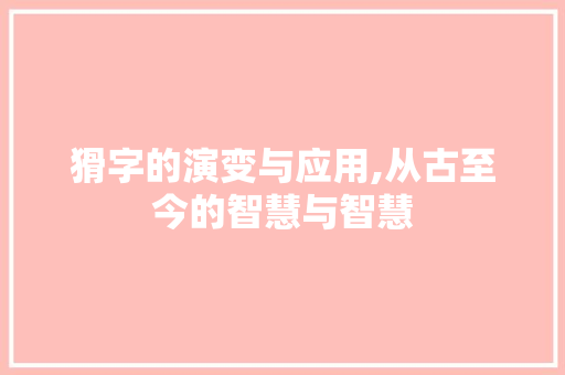 猾字的演变与应用,从古至今的智慧与智慧
