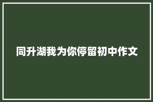 同升湖我为你停留初中作文 简历模板
