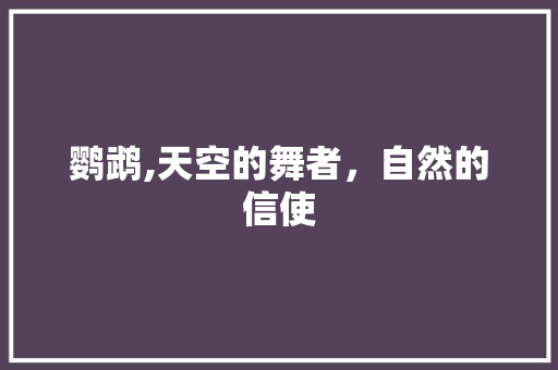 鹦鹉,天空的舞者，自然的信使