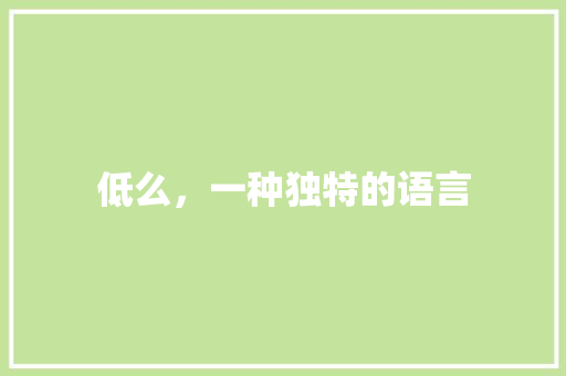 低么，一种独特的语言 词汇积累