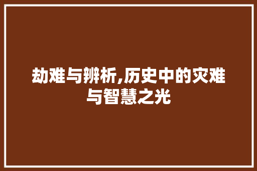劫难与辨析,历史中的灾难与智慧之光 简历模板