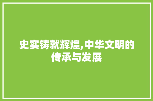 史实铸就辉煌,中华文明的传承与发展
