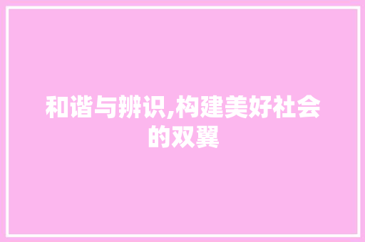 和谐与辨识,构建美好社会的双翼 写作素材