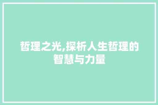 哲理之光,探析人生哲理的智慧与力量 写作技巧