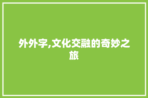 外外字,文化交融的奇妙之旅