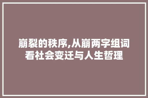 崩裂的秩序,从崩两字组词看社会变迁与人生哲理 报告写作