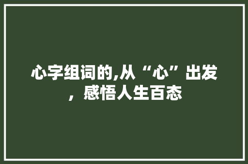 心字组词的,从“心”出发，感悟人生百态 报告写作