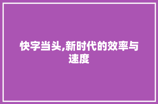 快字当头,新时代的效率与速度