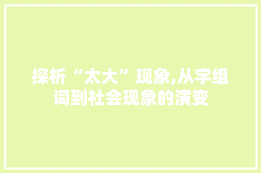 探析“太大”现象,从字组词到社会现象的演变