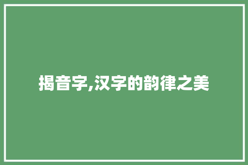 揭音字,汉字的韵律之美