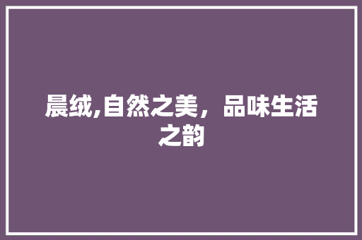 晨绒,自然之美，品味生活之韵