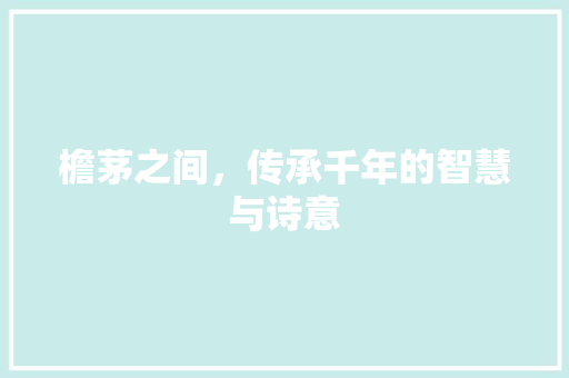 檐茅之间，传承千年的智慧与诗意
