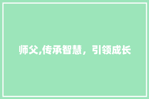 师父,传承智慧，引领成长