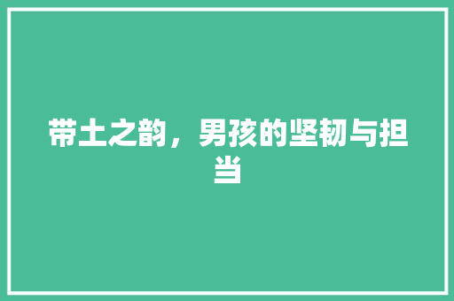 带土之韵，男孩的坚韧与担当 报告写作