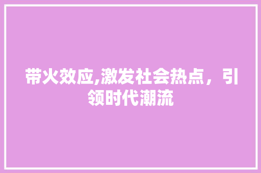 带火效应,激发社会热点，引领时代潮流