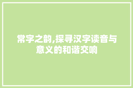 常字之韵,探寻汉字读音与意义的和谐交响