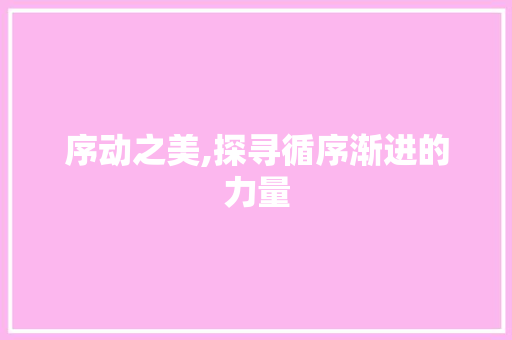 序动之美,探寻循序渐进的力量