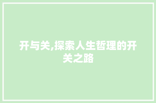 开与关,探索人生哲理的开关之路
