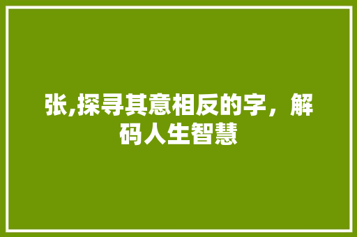 张,探寻其意相反的字，解码人生智慧