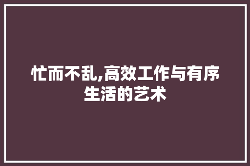 忙而不乱,高效工作与有序生活的艺术