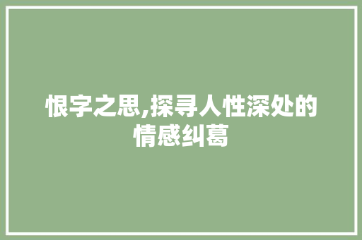 恨字之思,探寻人性深处的情感纠葛