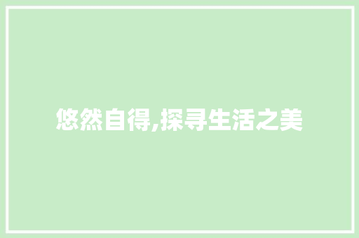悠然自得,探寻生活之美