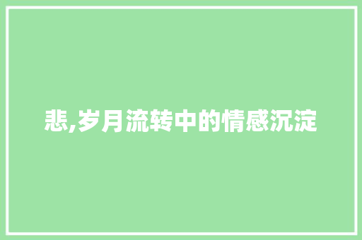 悲,岁月流转中的情感沉淀