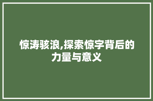 惊涛骇浪,探索惊字背后的力量与意义 简历模板