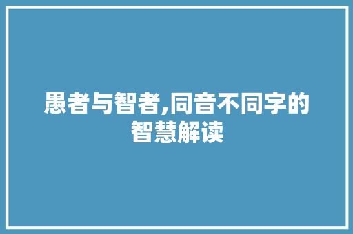 愚者与智者,同音不同字的智慧解读