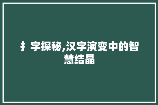 扌字探秘,汉字演变中的智慧结晶