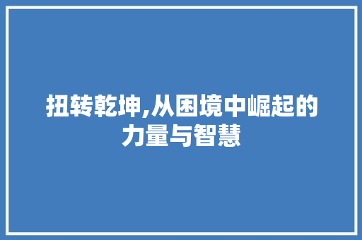 扭转乾坤,从困境中崛起的力量与智慧