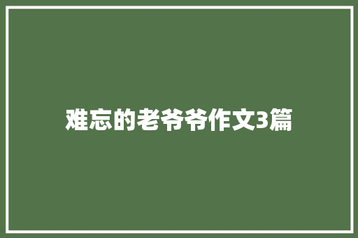 难忘的老爷爷作文3篇