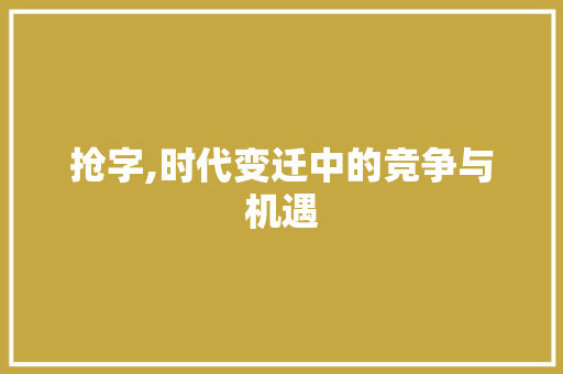 抢字,时代变迁中的竞争与机遇