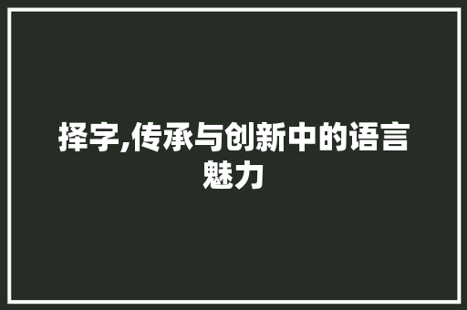 择字,传承与创新中的语言魅力