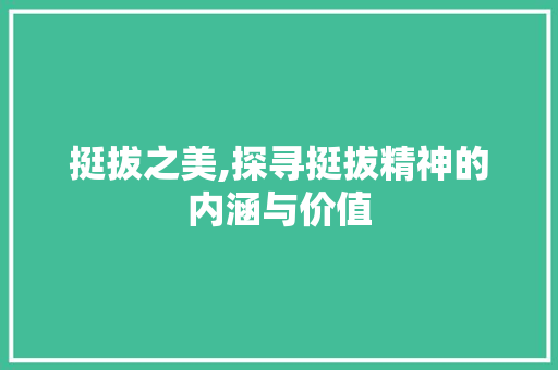 挺拔之美,探寻挺拔精神的内涵与价值