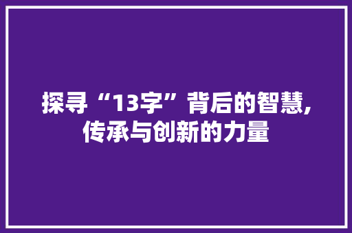 探寻“13字”背后的智慧,传承与创新的力量