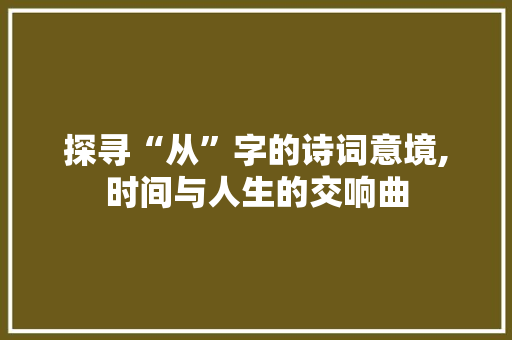 探寻“从”字的诗词意境,时间与人生的交响曲